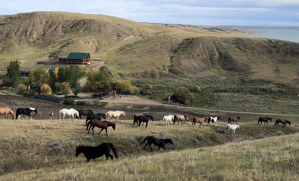 La Reata Ranch on Lake Diefenbaker