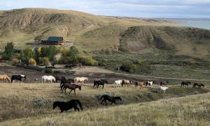 La Reata Ranch on Lake Diefenbaker