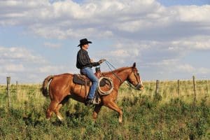 Rancher on horseback