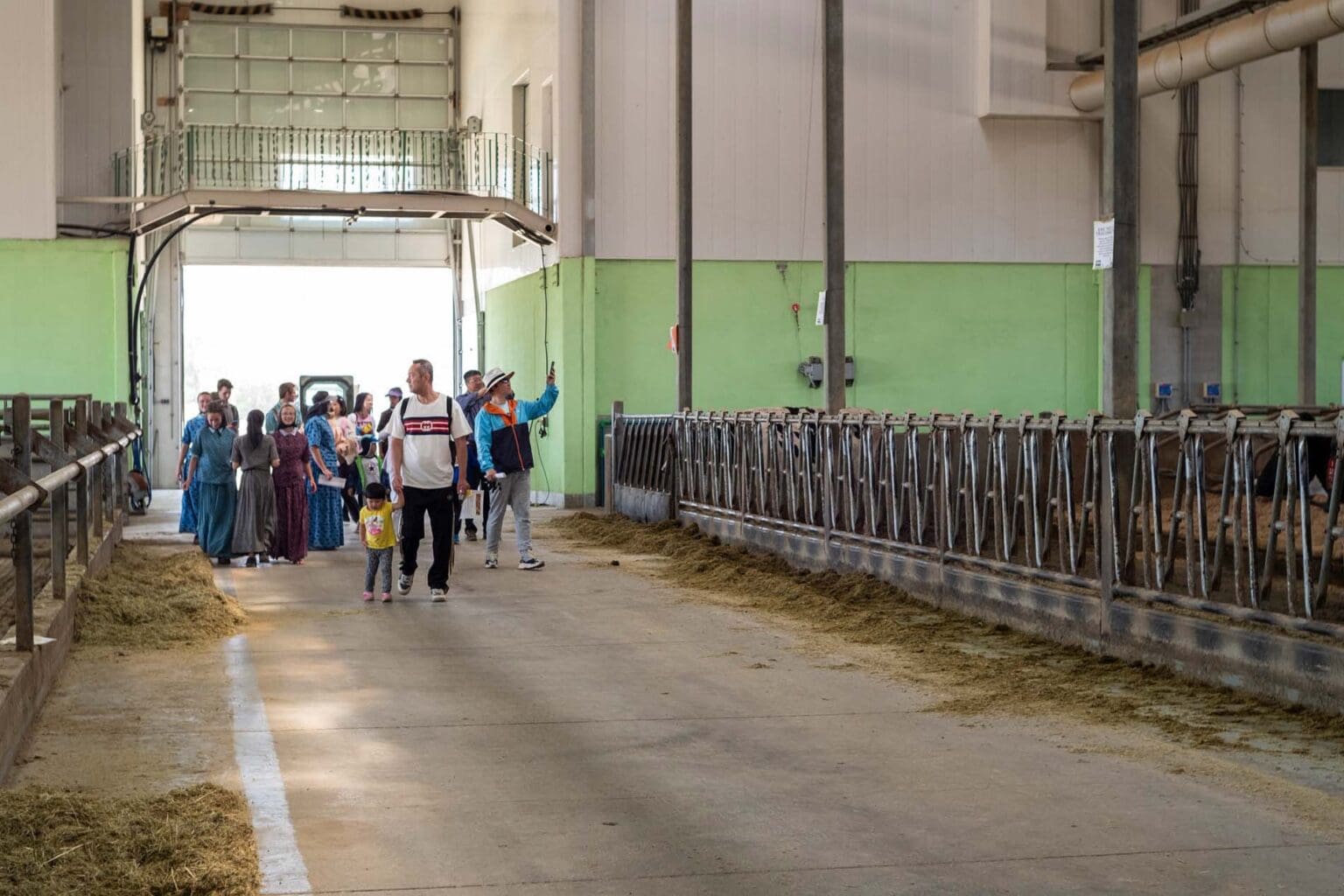 Dairy Barn Tour at Hodgeville Colony - SK Open Farm Days 2024 - Photo Credit Tourism Saskatchewan